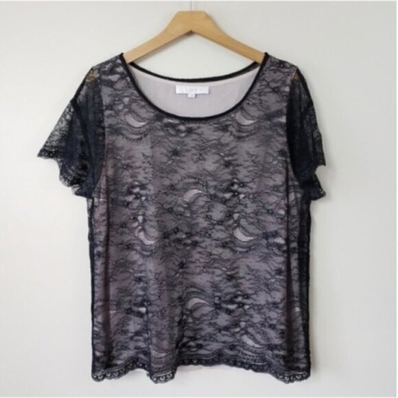 Ann Taylor LOFT | Black Lace Short Sleeve Blouse Size Large - Picture 1 of 4